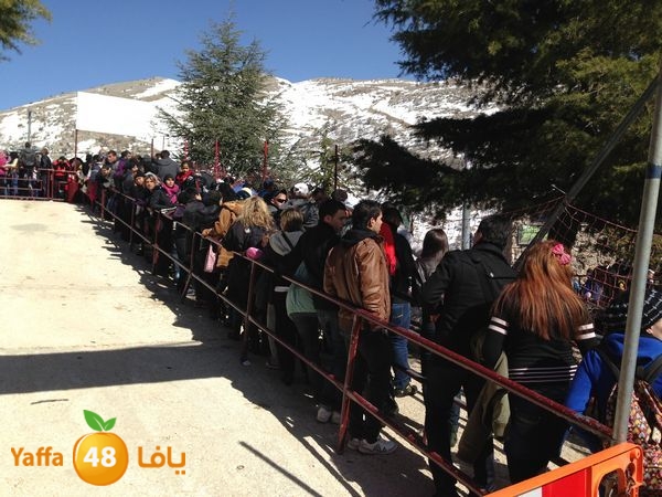 jabalelskheikhlud (73).JPG